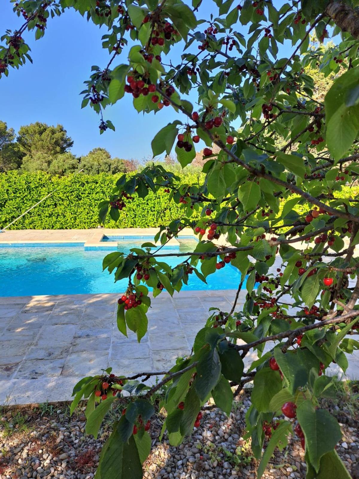 Trulli Gianfelice Villa Martina Franca Luaran gambar